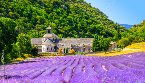 Senanque Abbey Gordes Provence Lavender fields Notre-Dame de Senanque, Luberon, France. Europe photo