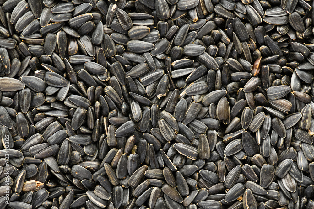sunflower seeds background, closeup of roasted seeds sunflower seeds background, closeup of roasted seeds