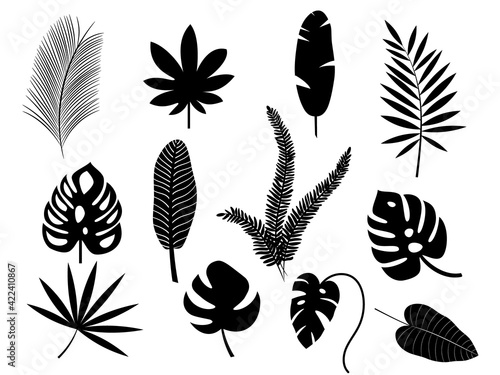 Set of exotic tropical leaves. monstera  palm  banana. Vector stock illustration for poster or card