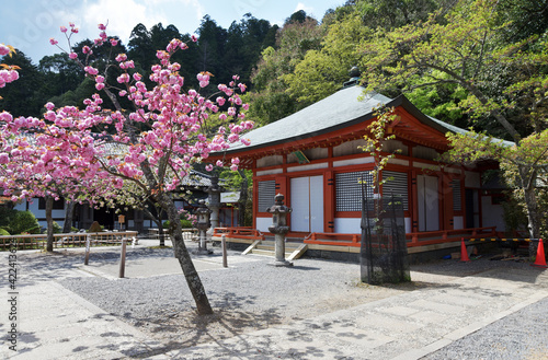 鞍馬寺　光明心殿　京都市 photo