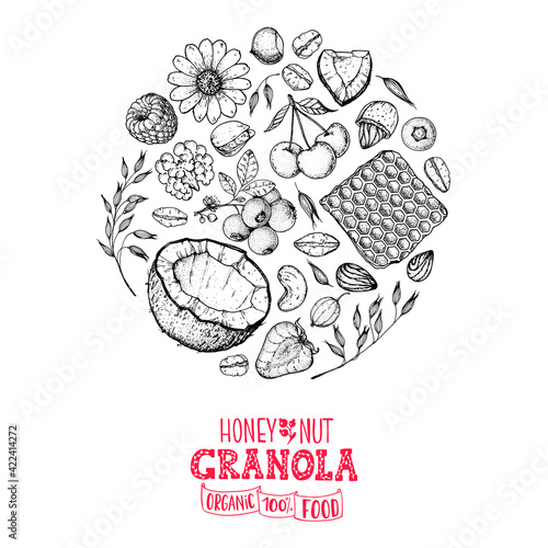 Granola sketch illustration. Breakfast label. Oat flakes , berries, fruits and nuts. Breakfast top view frame. Morning food menu design. Hand drawn sketch vector illustration.