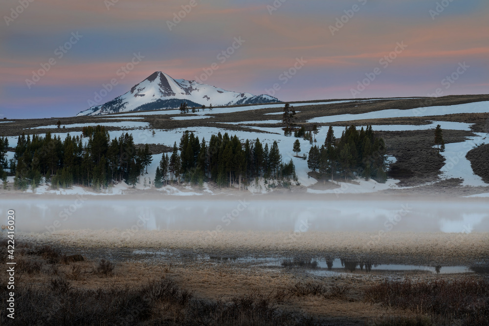 USA, Wyoming, Yellowstone National Park. Sunrise fog above pond on Swan Flats.