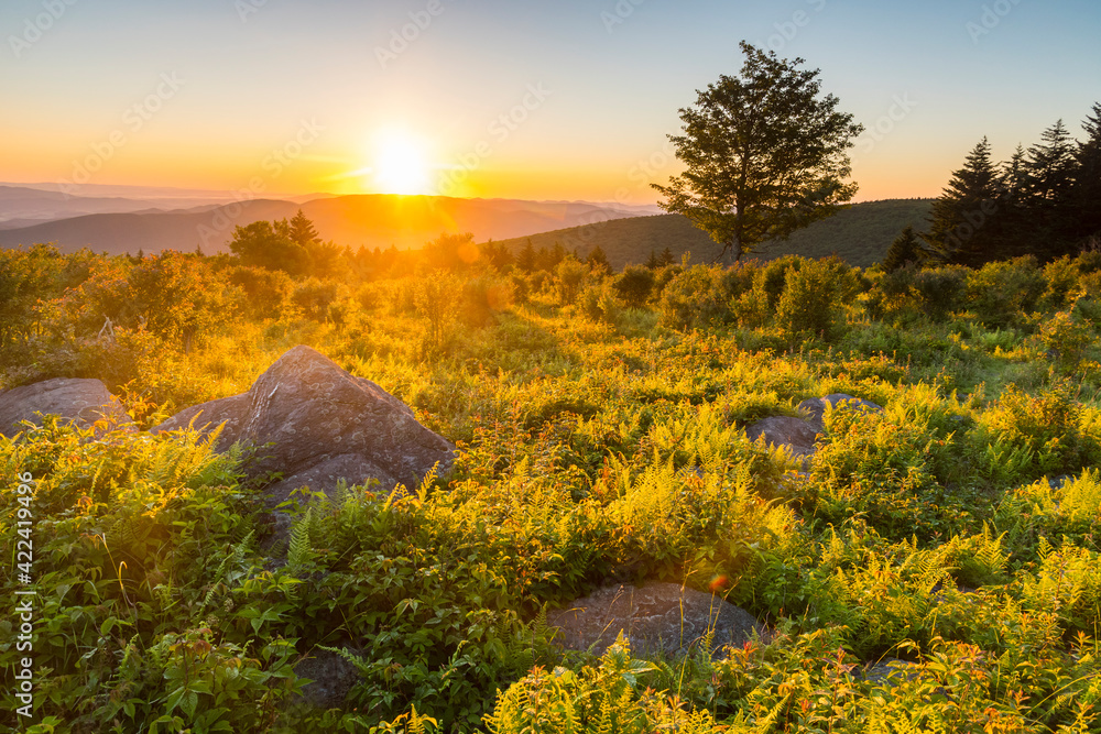 Sunrise on the Crest Trail section of the Appalachian Trail, Pine Mountain, Mount Rogers National Recreation Area, Virginia.