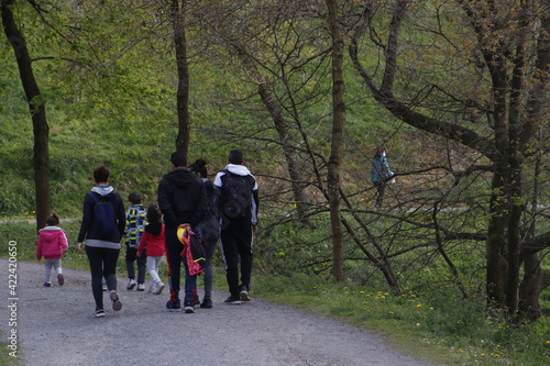 People walking in the woods