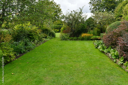 garden lawn