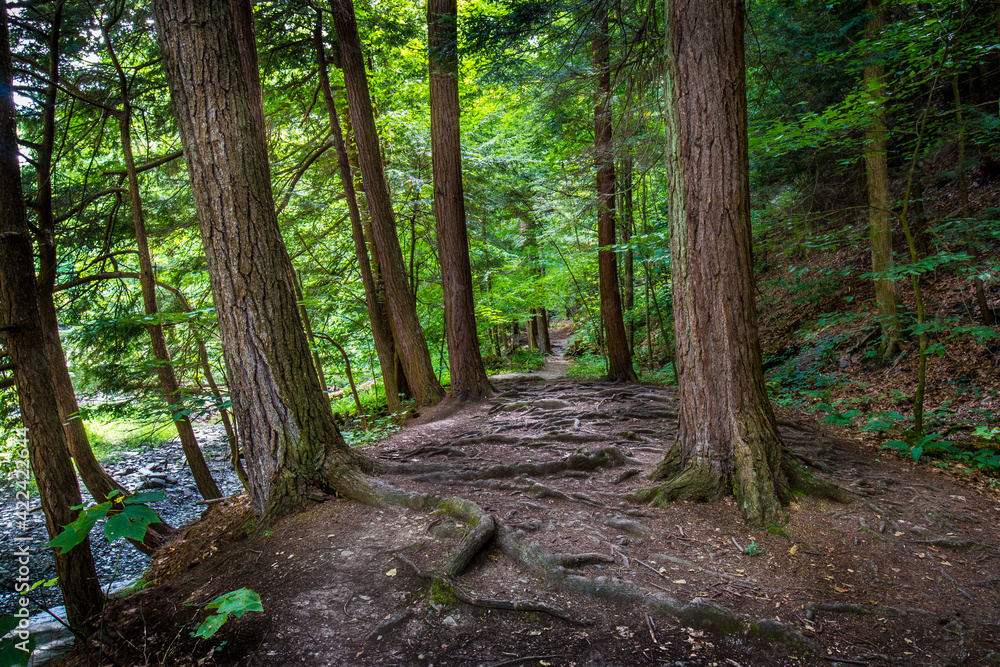 Buttermilk Falls State Park Pathway to Lake Treman Buttermilk Falls State Park Pathway to Lake Treman