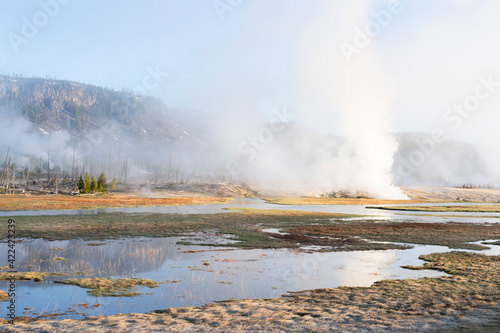 Yellowstone National Park, Black Sand Basin. Steam rising from the geysers and pools found in the Black Sand Basin.