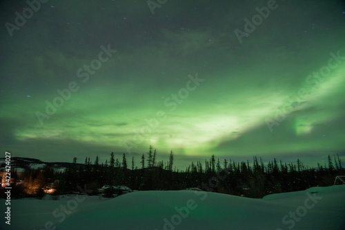 An amazing display of northern lights aurora borealis seen in north Canada Yukon Territory with green dancing sky above wilderness forest woods area. 