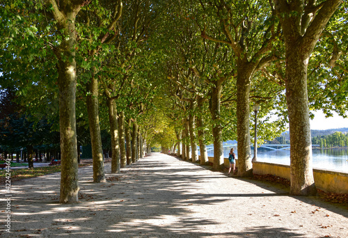 The golden corridor of nature