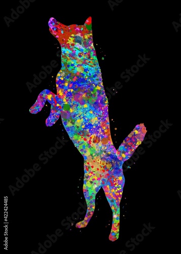 Siberian Husky stand dog watercolor, black background, abstract painting. Watercolor illustration rainbow, colorful, decoration wall art. 