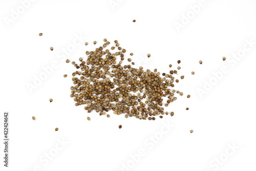 Coriander seeds isolated on white background. Pile of coriander seeds isolated (white background). Dry coriander seeds, common cooking spice.