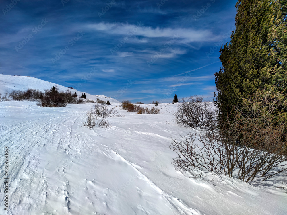 Amazing Winter view of Vitosha Mountain, Bulgaria