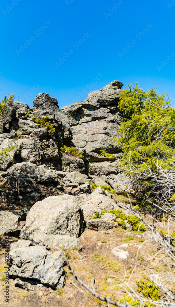Big rocks in Jizera mountains with high trees around Big rocks in Jizera mountains with high trees around