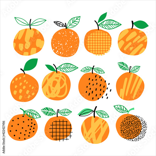 Vector orange set illustration. Hand drawn orange summer collection. Citrus design