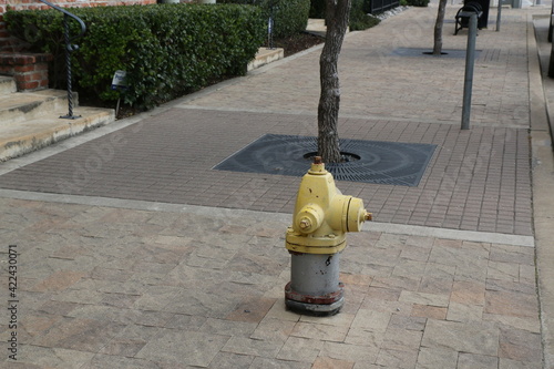 fire hydrant on the street