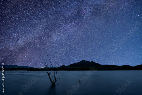 Canvas Print The garden at night with stars and the milky way in the sky is so beautiful