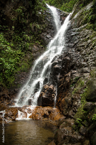 waterfall in the forest