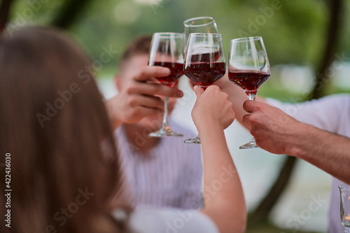 friends toasting red wine glass while having picnic french dinner party