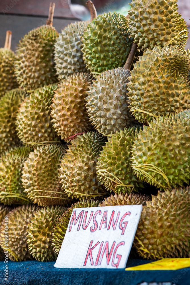 Closeup Musang King durian at a Fruit Stall in Malaysia. Closeup Musang King durian at a Fruit Stall in Malaysia.