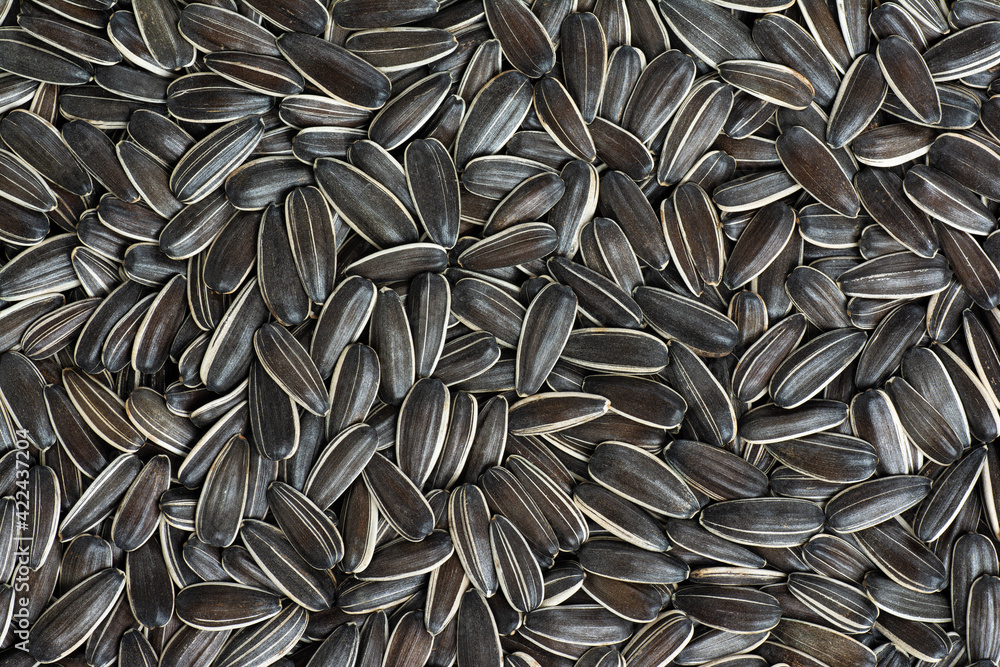 Sunflower seeds background. Top view Sunflower seeds background. Top view