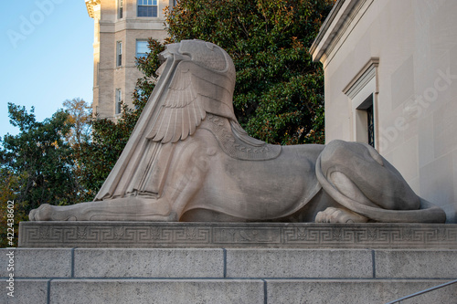 sphinx set sail champagne in washington dc
