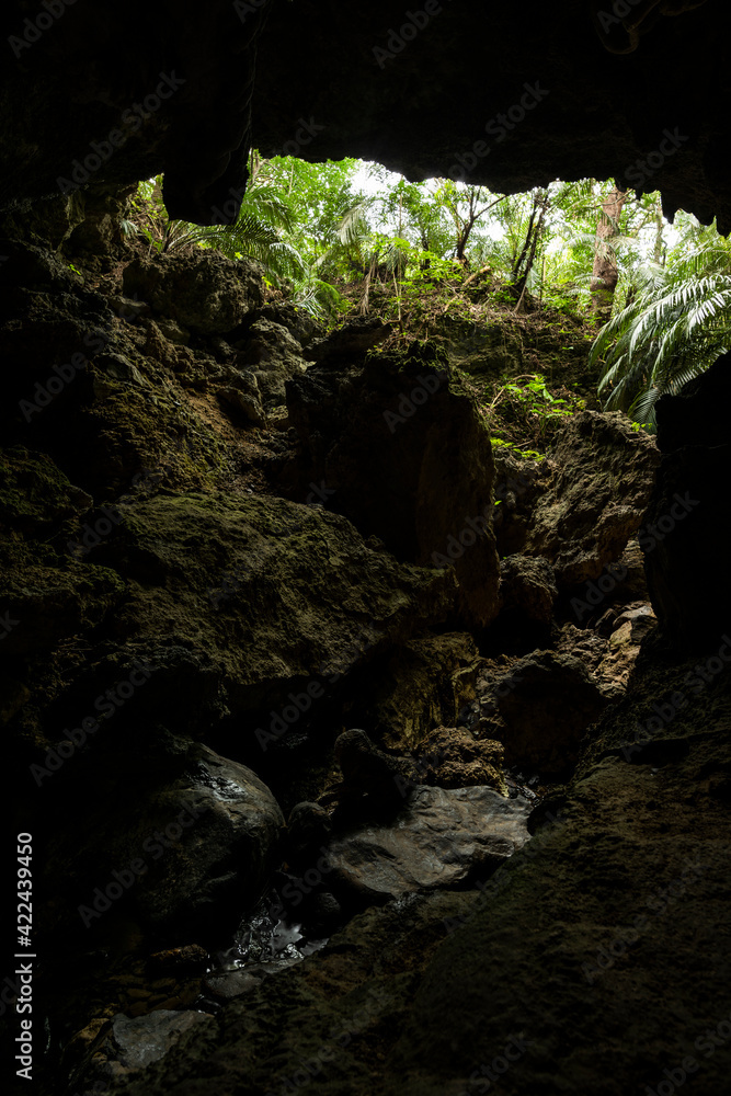 View from inside the limestone cave with water in the soil and the lush natural vegetation of the jungle on the island of Iriomote, Okinawa. View from inside the limestone cave with water in the soil and the lush natural vegetation of the jungle on the island of Iriomote, Okinawa.