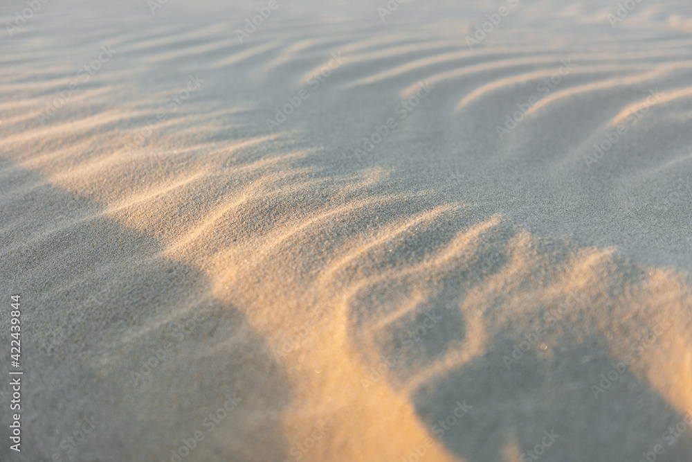 Obraz premium Sand with waves formed by the wind being parcial illuminated by the late afternoon soft sunlight, shallow depth of field. Iriomote Island.