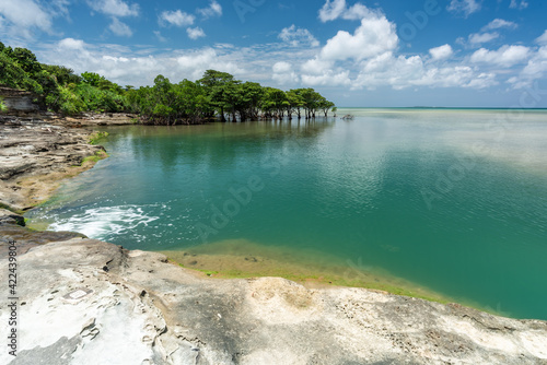 Omijya river meets the impressive emerald green sea, a natural pool surrounded by rocks, mangrove trees and blue sky. Iriomote Island.