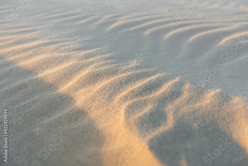 Sand with waves formed by the wind being parcial illuminated by the late afternoon soft sunlight, shallow depth of field.  Iriomote Island.