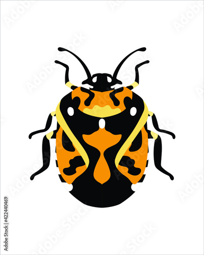 harlequin bugs. flat vector illustration of bugs. insects and garden concept animated in colorful theme. cartoon illustration of nature isolated on white background.