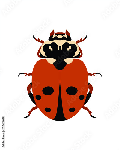 spotted amber ladybird beetle. flat vector illustration of bugs. insects and garden concept animated in colorful theme. cartoon illustration of nature isolated on white background.