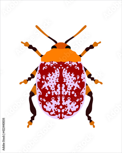 blepharida rhois. flat vector illustration of bugs. insects and garden concept animated in colorful theme. cartoon illustration of nature isolated on white background. photo