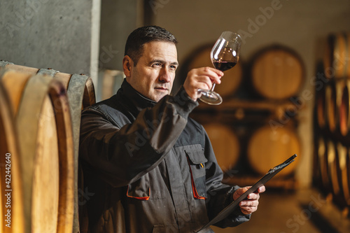 Tableau sur toile Adult man winemaker at winery checking glass looking quality while standing betw