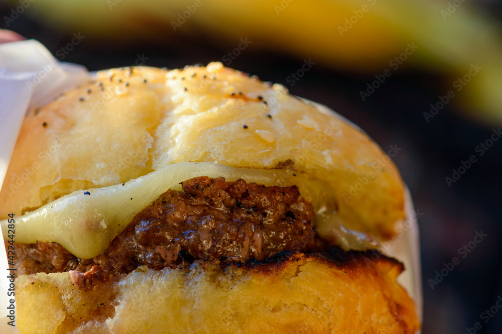 Barbecue grilled cheeseburgers on homemade brioche buns Barbecue grilled cheeseburgers on homemade brioche buns