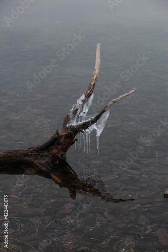 Icicles Frozen on Lake Branch