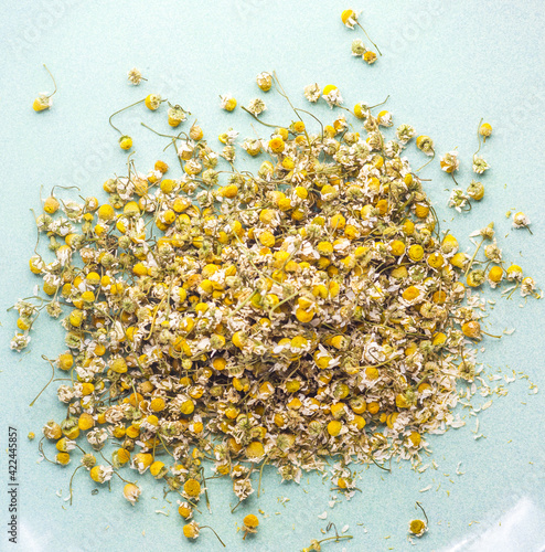Closeup camomile flowers used to make tea have a sleep-inducing effect.