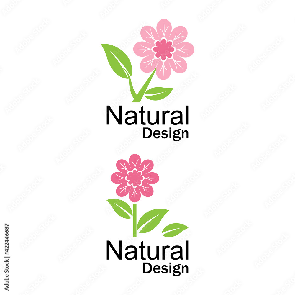 Beauty plumeria icon flowers design illustration Template Beauty plumeria icon flowers design illustration Template