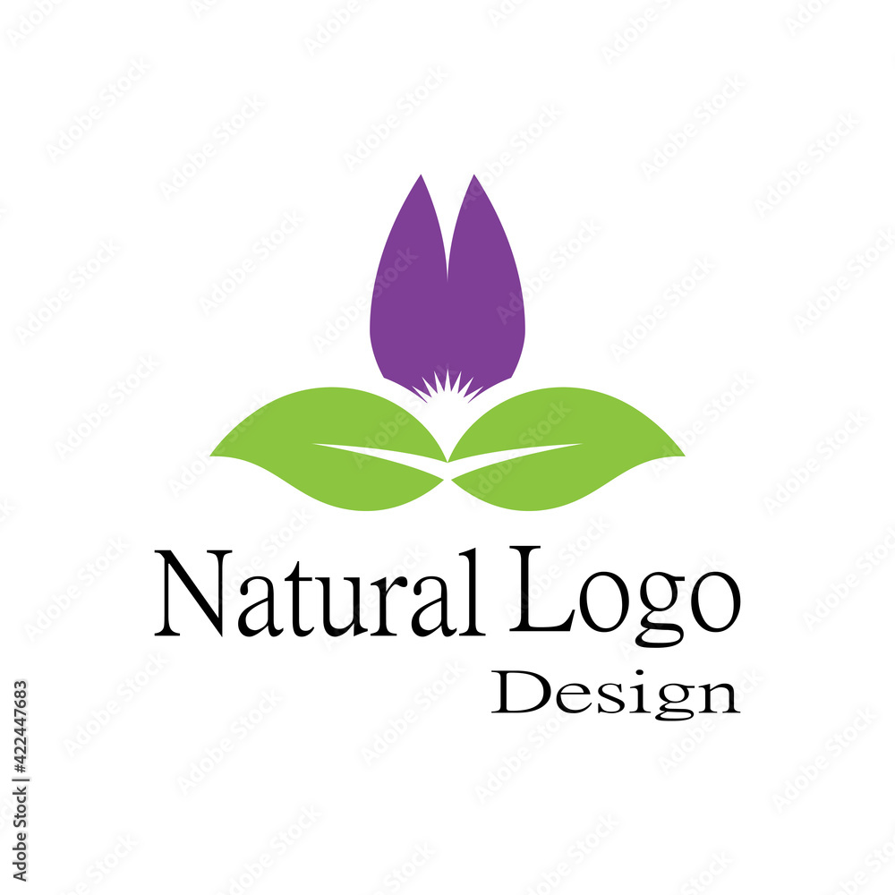 Beauty Vector lotus flowers design logo Template icon Beauty Vector lotus flowers design logo Template icon