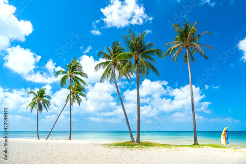 Fototapeta Naklejka Na Ścianę i Meble -  Tropical beach on a sunny day with coconut trees facing the sea in Phu Quoc Island, Vietnam