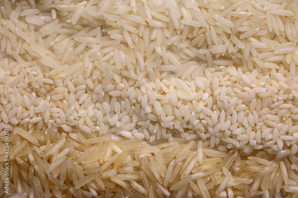 Varity mix long grain basmati medium grain jasmine short grain pilaf risotto brown low glycaemic index GI rice in rows top view Varity mix long grain basmati medium grain jasmine short grain pilaf risotto brown low glycaemic index GI rice in rows top view