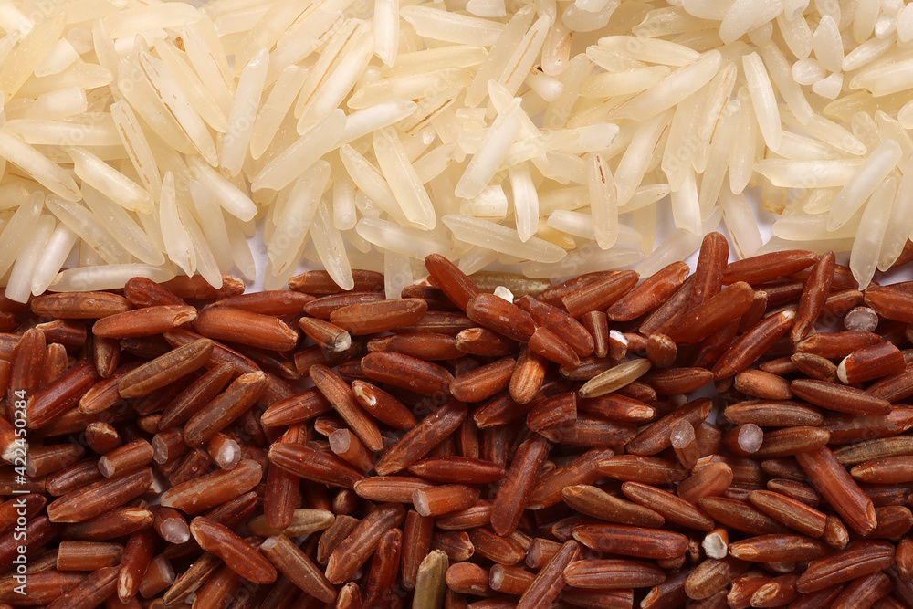 Varity mix long grain basmati medium grain jasmine short grain pilaf risotto brown low glycaemic index GI rice in rows top view Varity mix long grain basmati medium grain jasmine short grain pilaf risotto brown low glycaemic index GI rice in rows top view