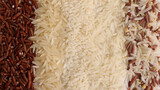 Varity mix long grain basmati medium grain jasmine short grain pilaf risotto brown low glycaemic index GI rice in rows top view