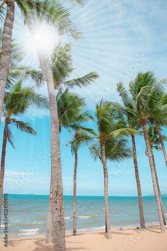 Coconut tree on the beautiful sea beach And light from the sun