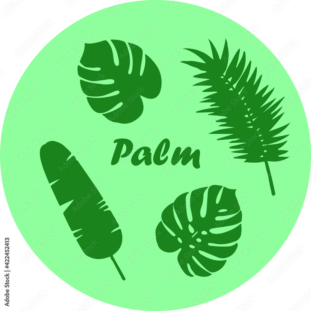 Set of palm leaves nature plant
Set of palm leaves nature plant