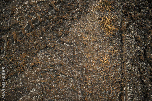 Soil. Ground texture. Soil background. Abstract nature pattern. Autumn