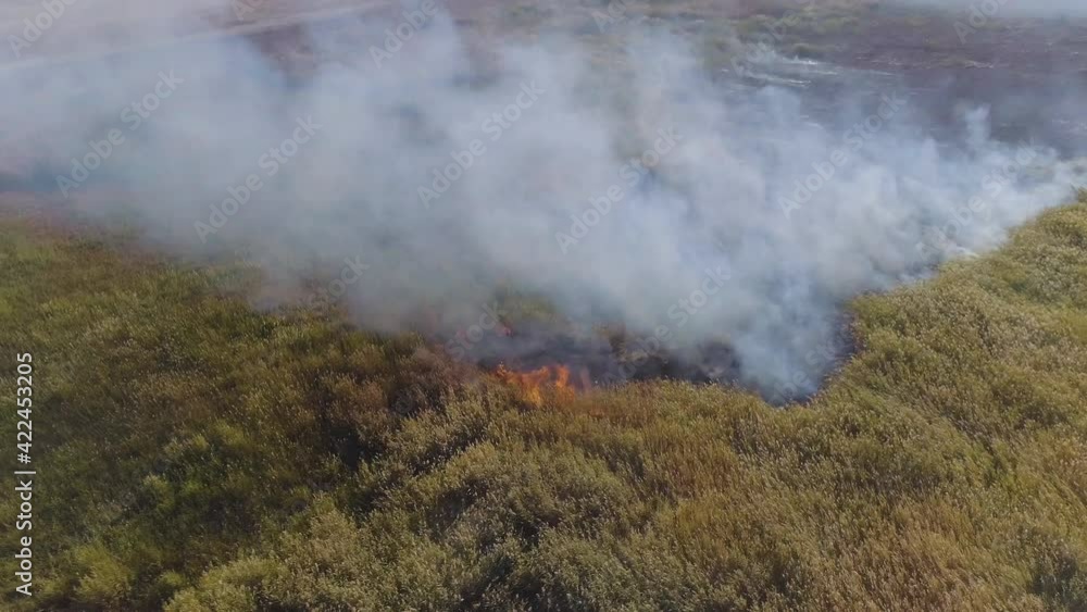 Epic aerial view of smoking wild fire. Large smoke clouds and fire spread. Forest and tropical jungle deforestation. Amazon and siberian wildfires. Dry grass burning. Climate change, ecology, earth Epic aerial view of smoking wild fire. Large smoke clouds and fire spread. Forest and tropical jungle deforestation. Amazon and siberian wildfires. Dry grass burning. Climate change, ecology, earth
