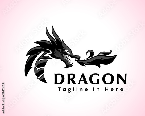 dragon with fire china legend logo icon symbol illustration