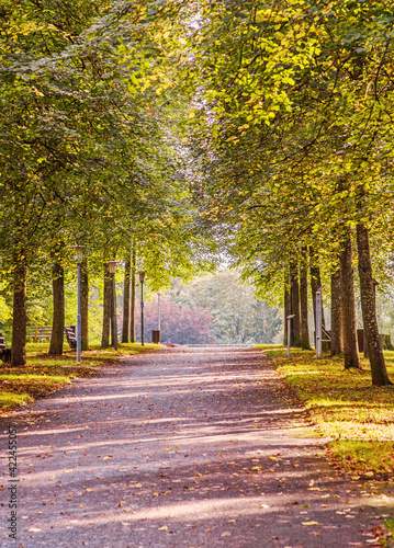 Fototapeta Naklejka Na Ścianę i Meble -  Kurpark in Bad Hall