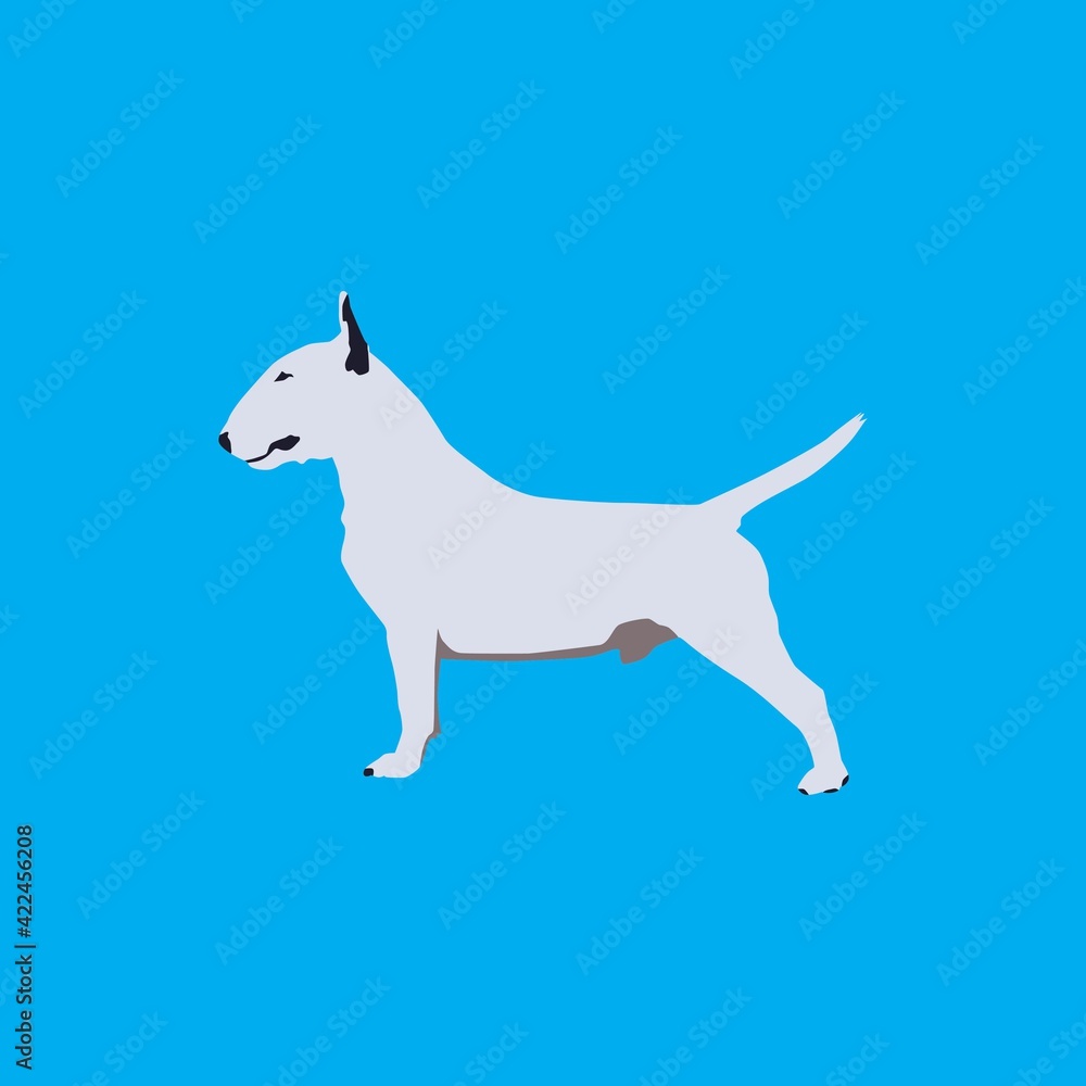 vector illustration of a dog animal
