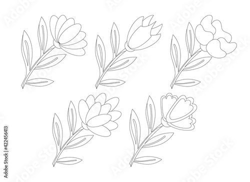 Set of flowers on white.